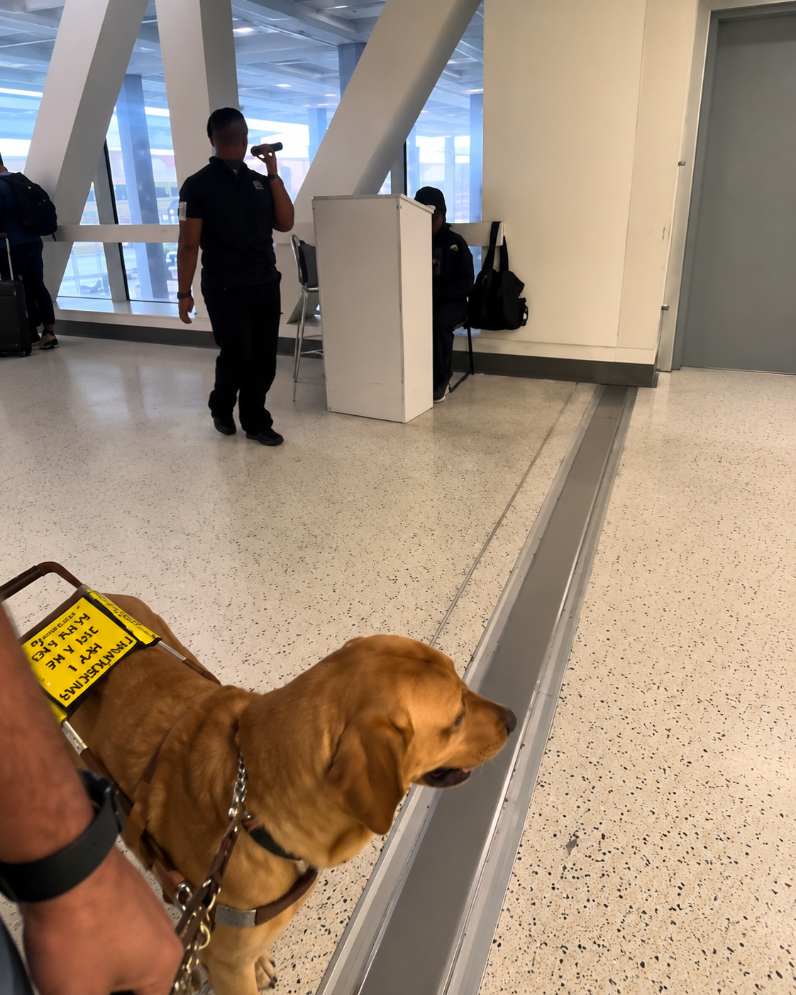 Guide dog and passenger moving through an airport terminal.
